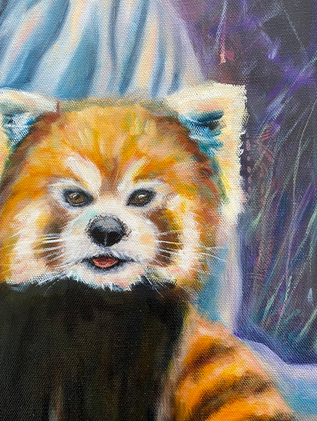 Playfulness, The Red Pandas - Fine Art Print 9x12in.