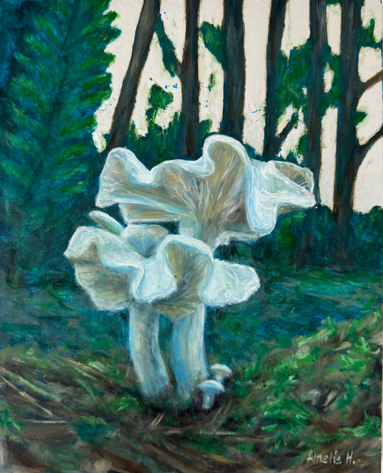 Mushroom II - Original Oil Painting